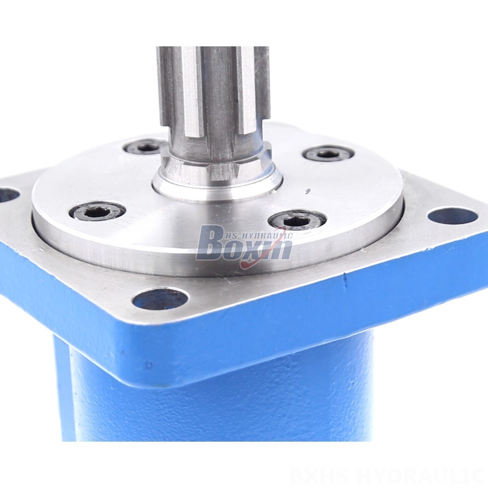 Wholesale BM3 Cycloid Hydraulic Motors - 100 cc/r 50 Lpm detail image